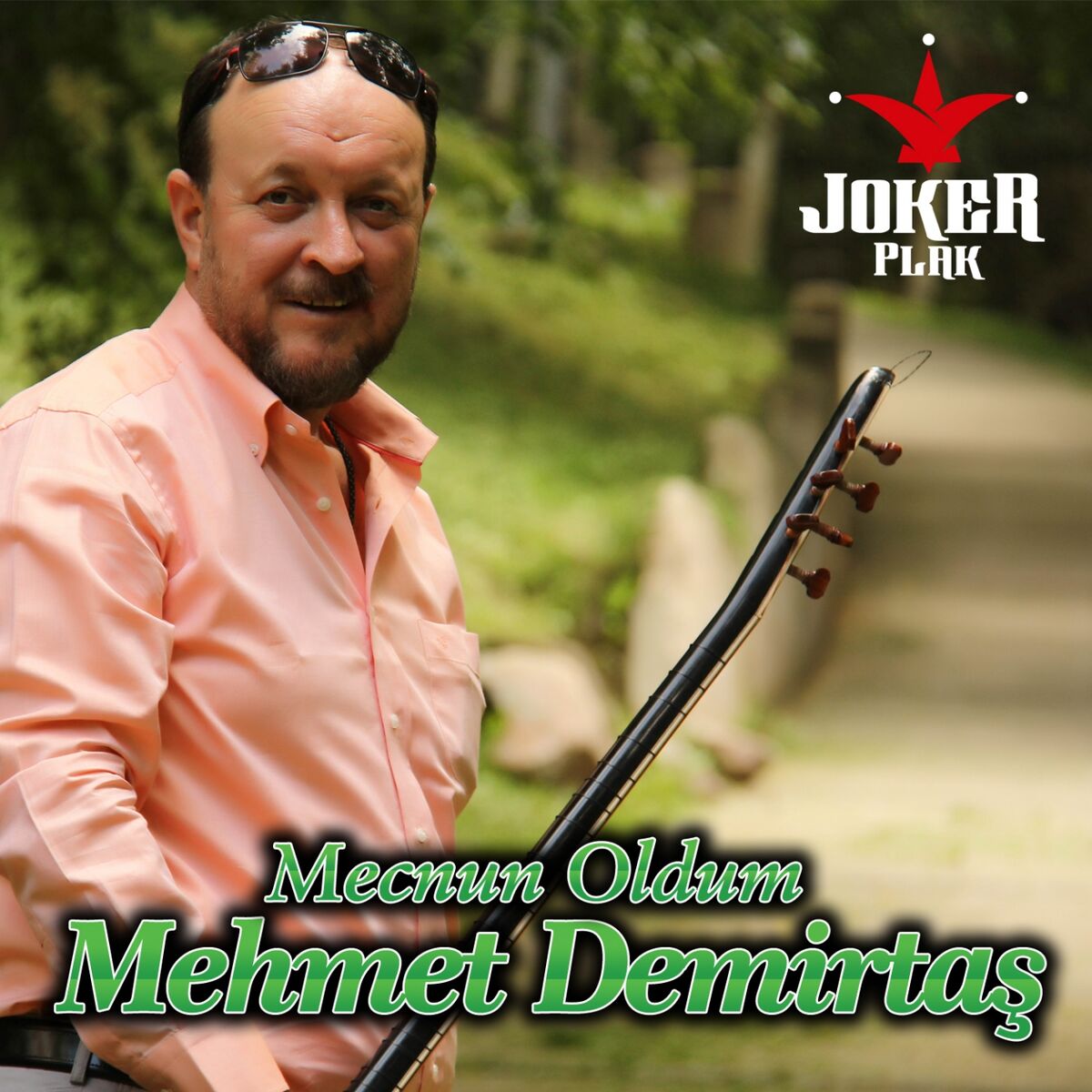 Album cover of Mecnun Oldum