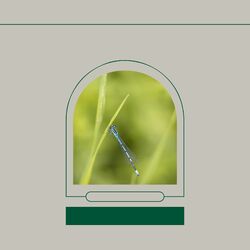 Cover of Music for Yearly Reflections - Trumpet, Electric Piano, Alto Sax and Soprano Sax