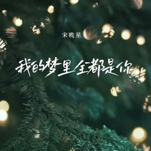 我的梦里全都是你