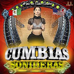 Cover of Wepas Con Sabor Sonidero