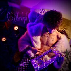 Cover of Starhigh