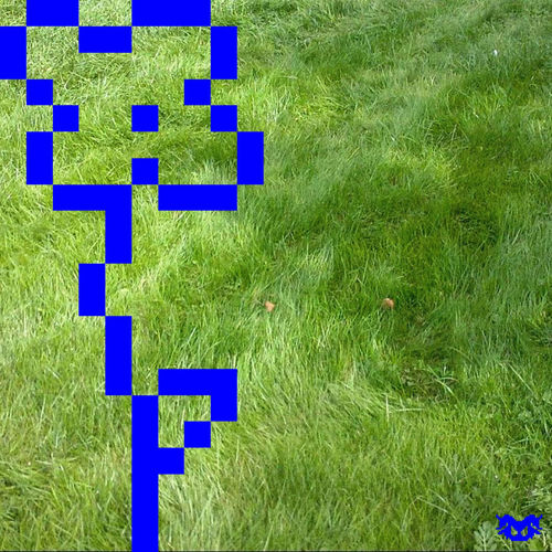 DLMA