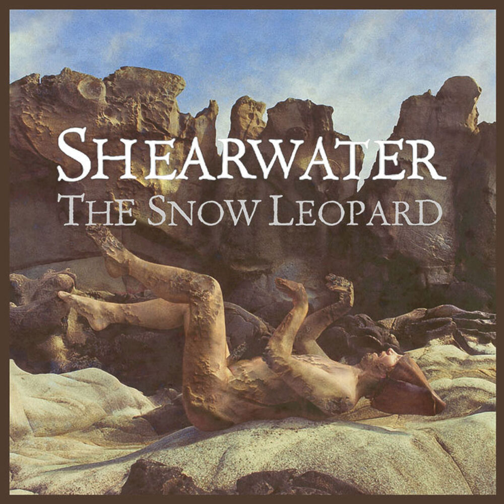 Picture of The Snow Leopard