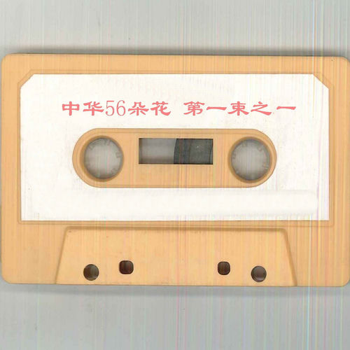 中华56朵花 第一束之一