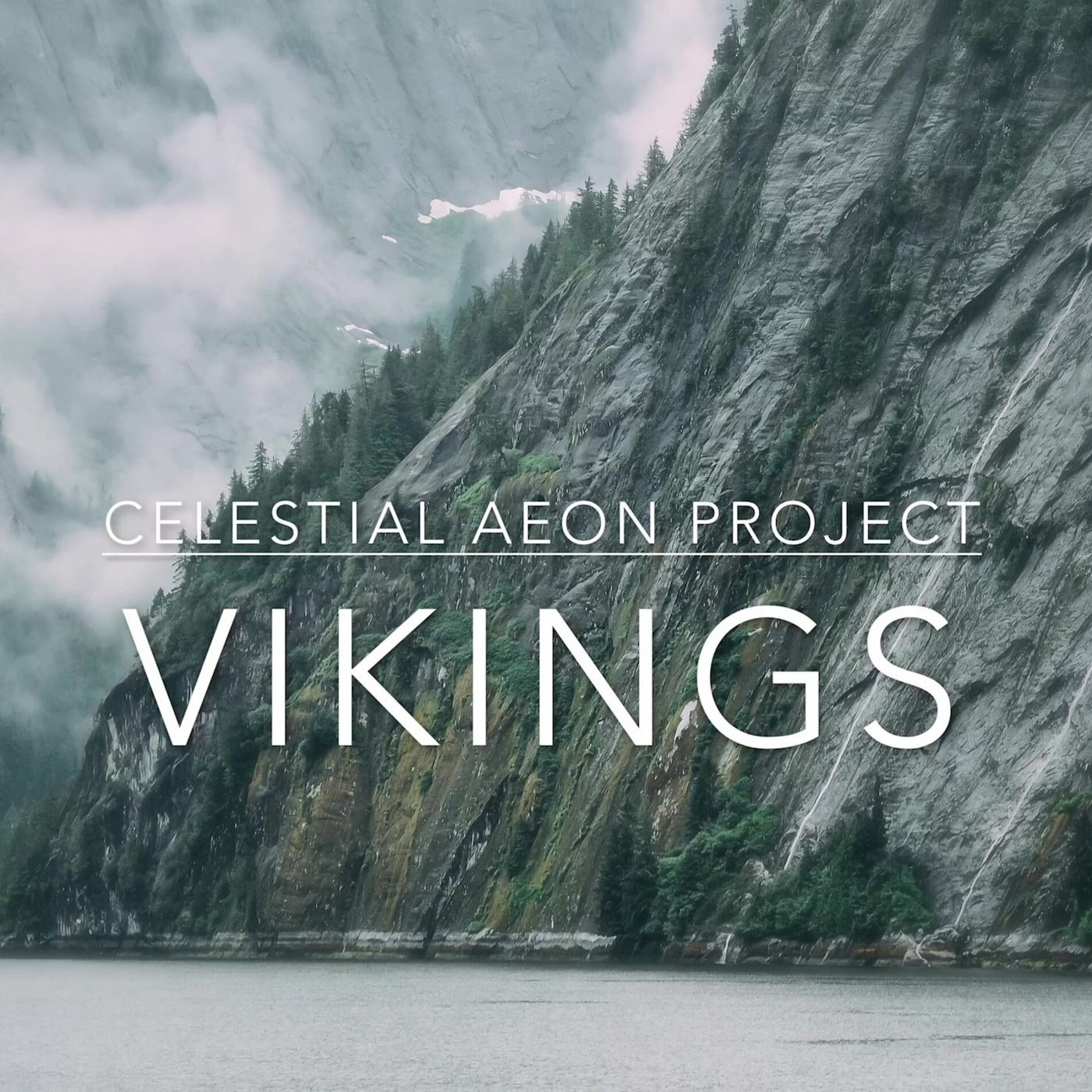 Album cover of Vikings