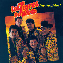 Cover of Incansables