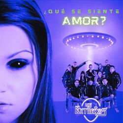Cover of ¿Qué Se Siente Amor?