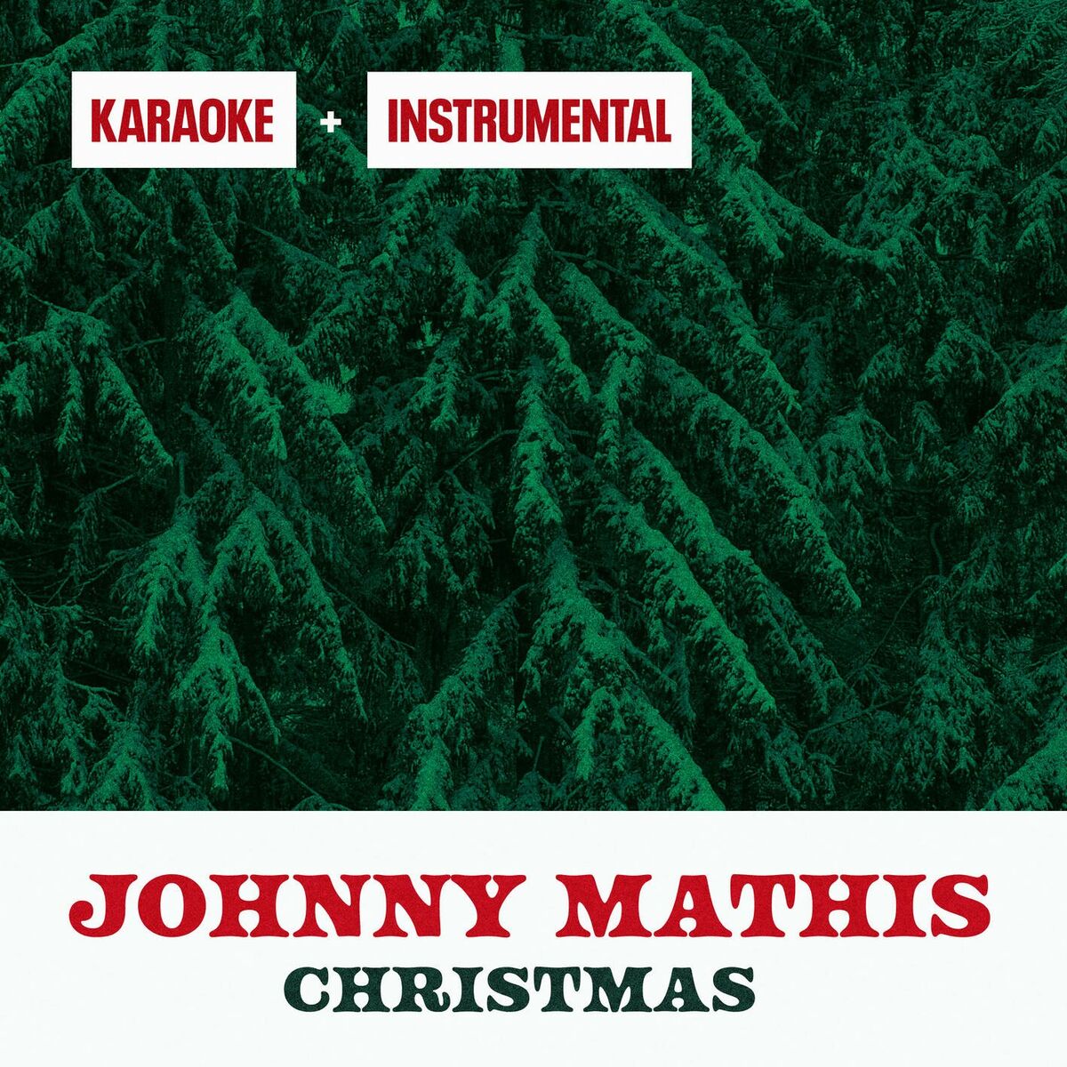 Album cover of Christmas Instrumentals & Karaoke