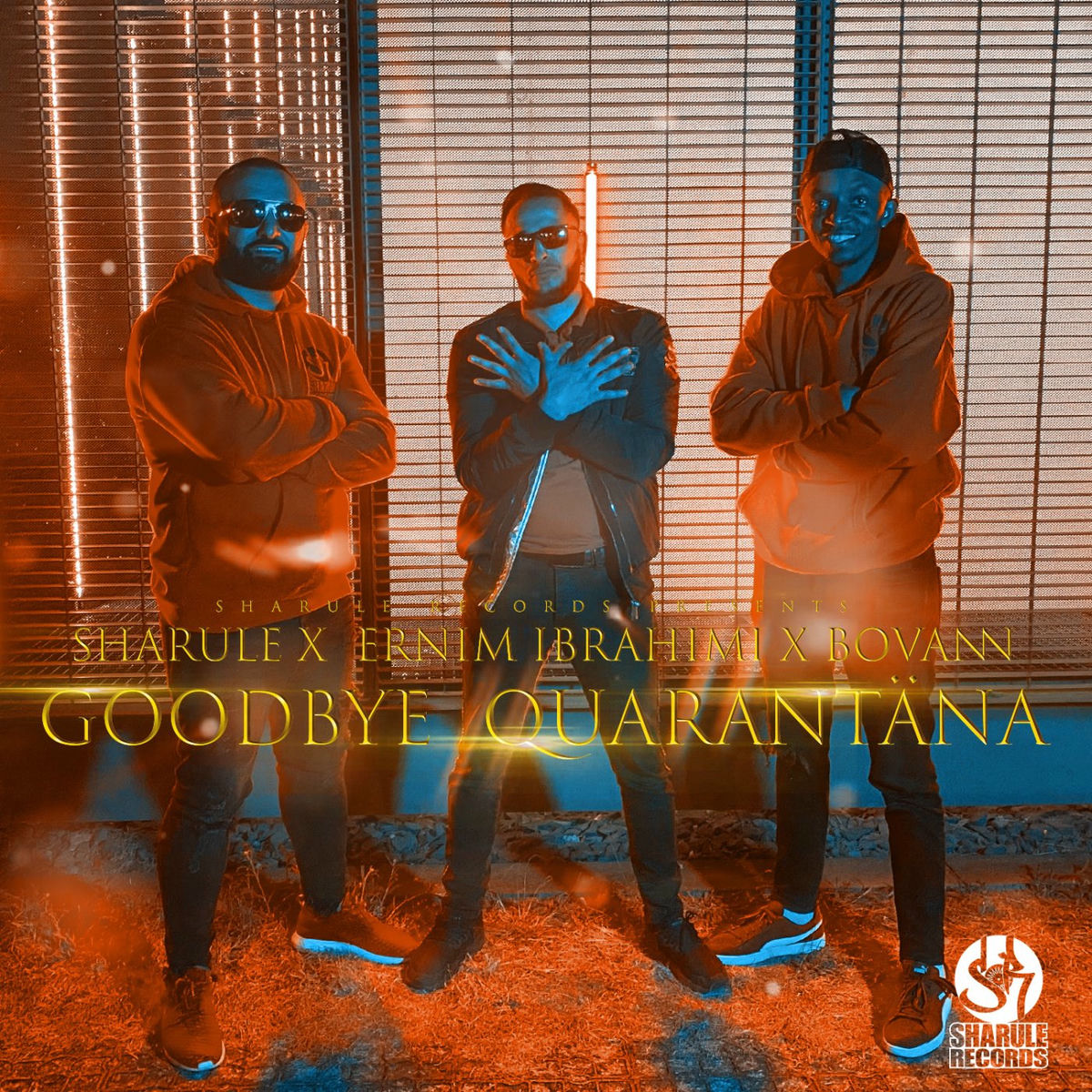 Album cover of Goodbye Quarantäna