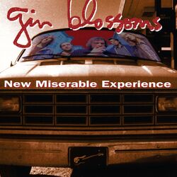 Cover of New Miserable Experience