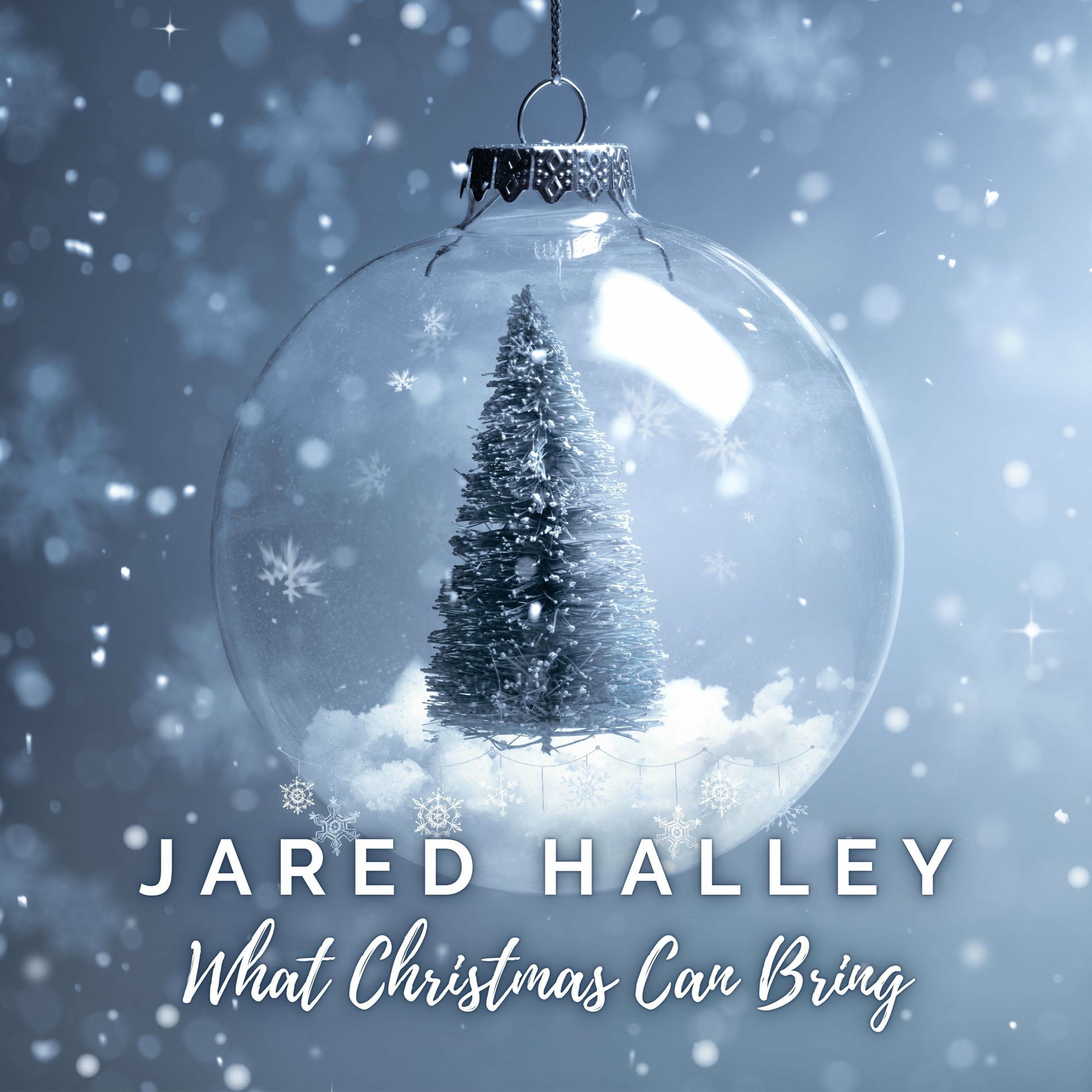 Album cover of What Christmas Can Bring