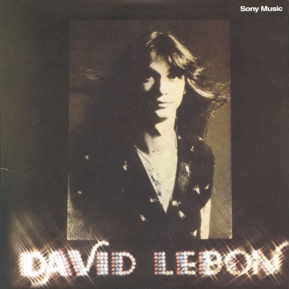 Picture of David Lebon