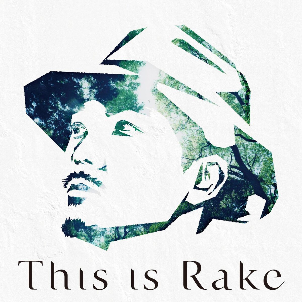 Album cover of This is Rake - BEST Collection