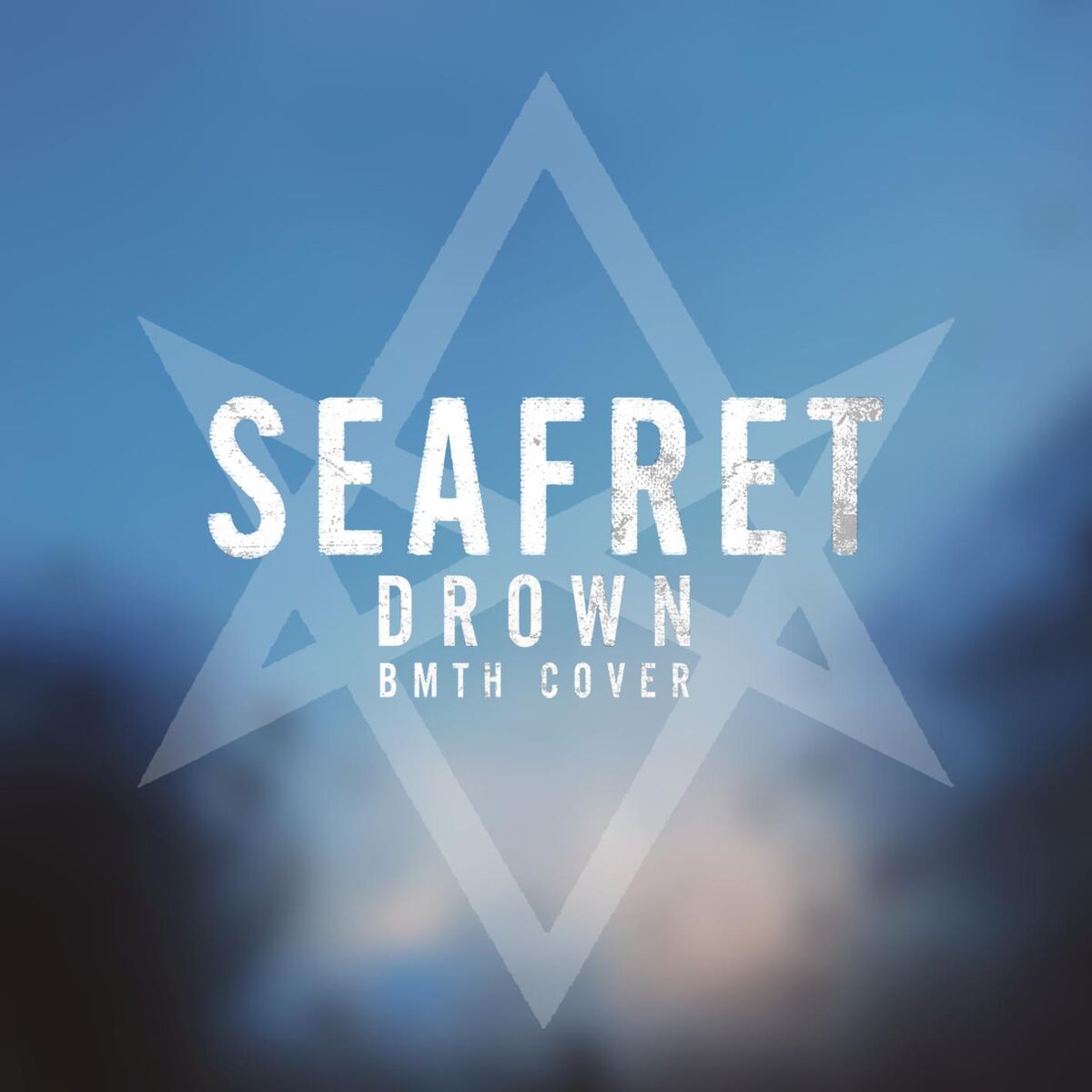 Album cover of Drown