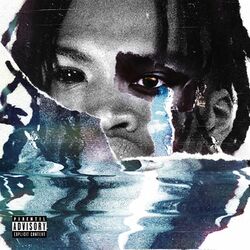 Cover of FRIEND OR FOUX
