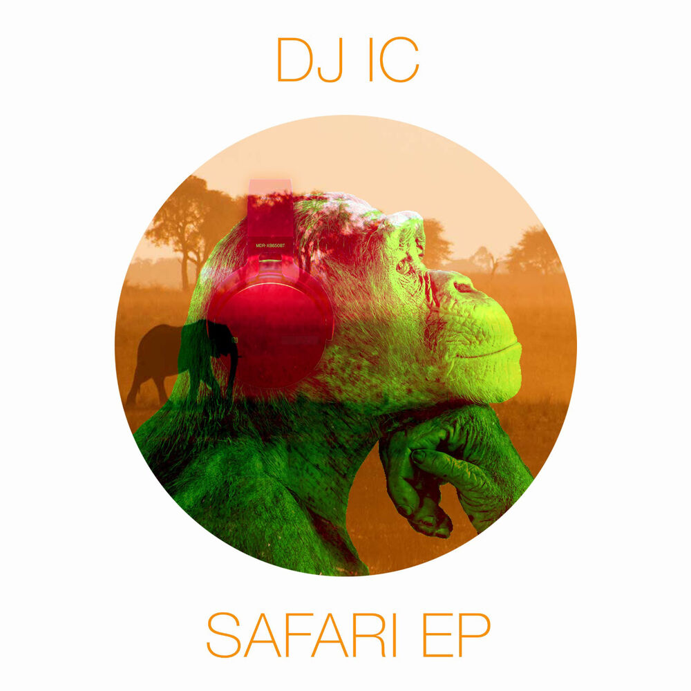 Picture of DJ IC - SAFARI EP
