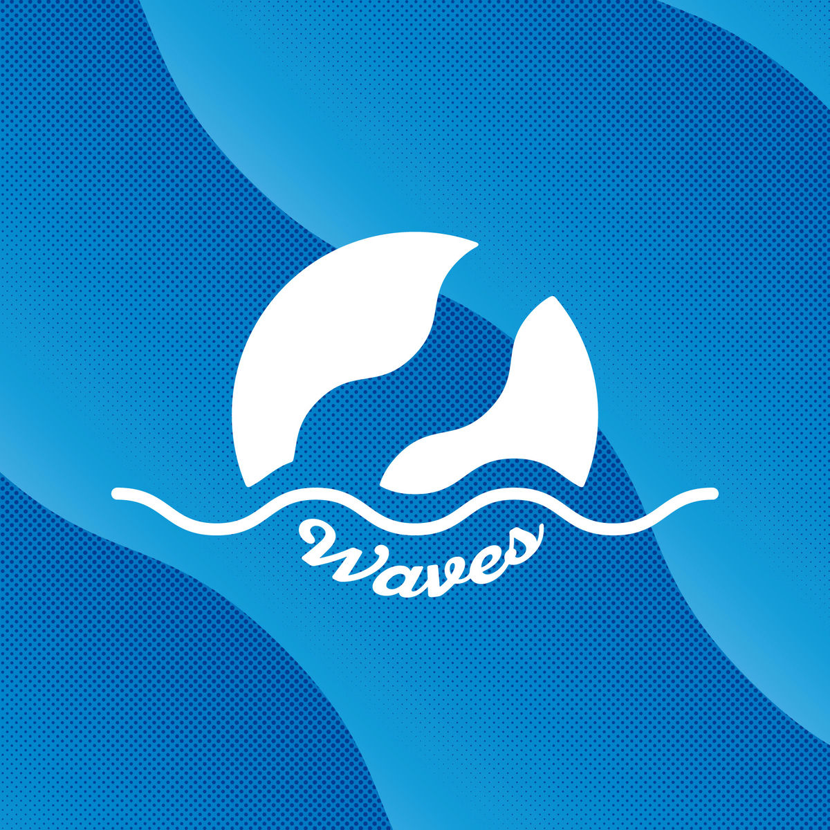 (新品)Yogee New Waves / PARAISO 0021122519_10.jpg