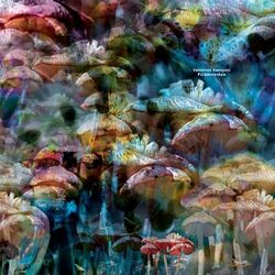 Cover of PsiAmsterdam
