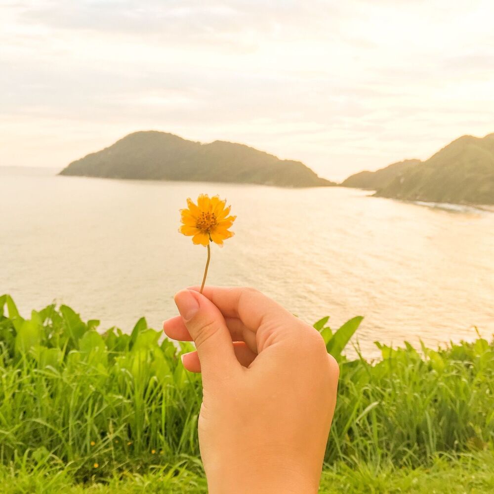 Picture of Amarelo