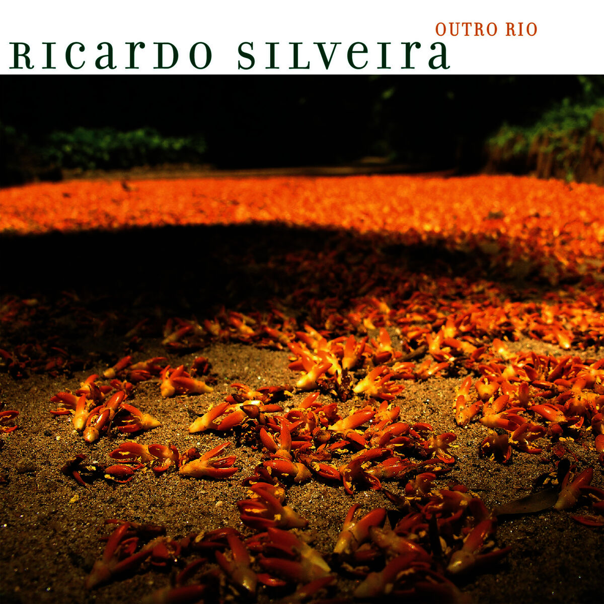 Album cover of Outro Rio