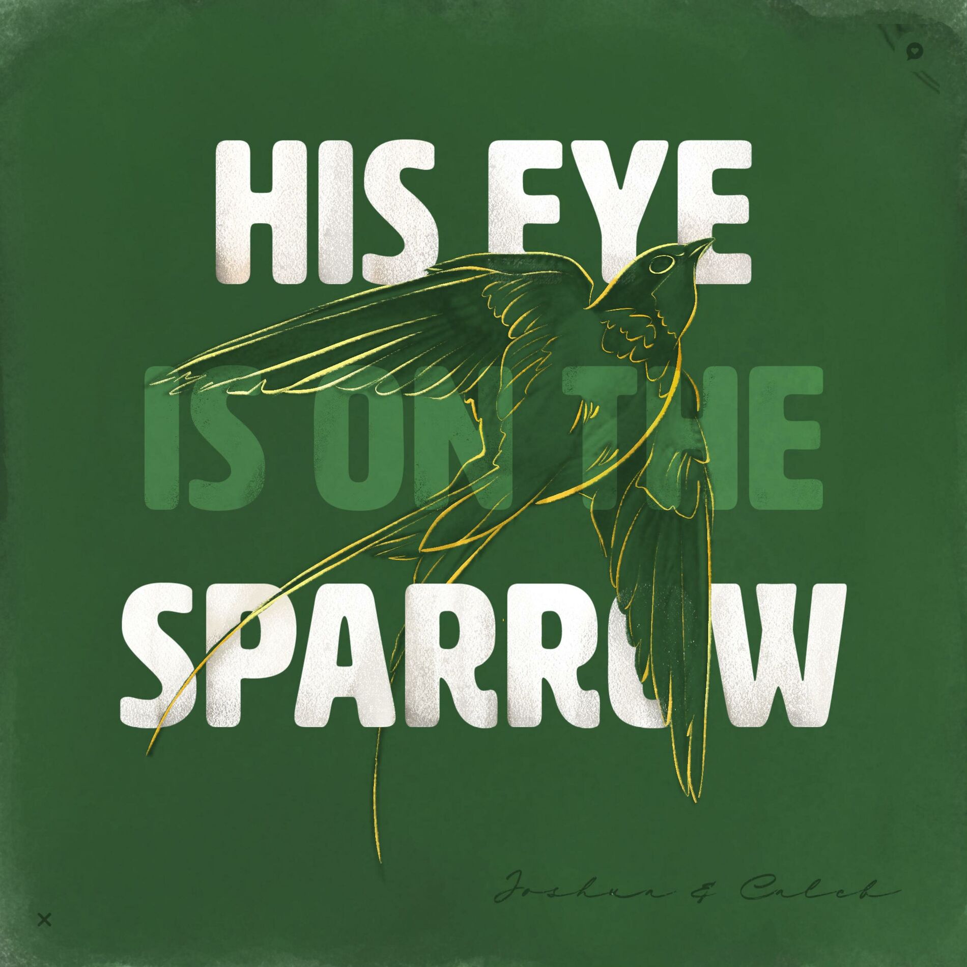 Album cover of His Eye Is On The Sparrow (feat. Josh Alexander)