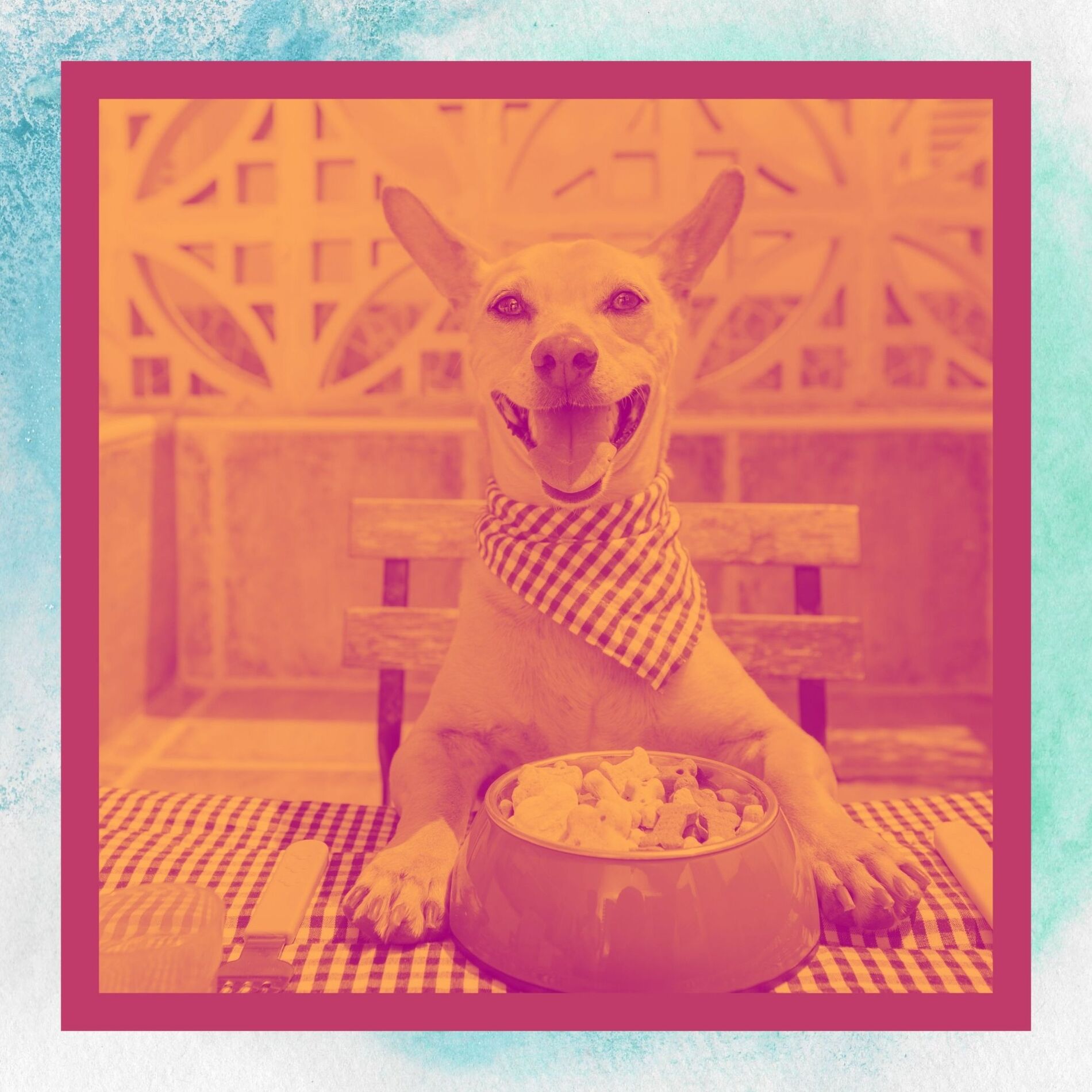Album cover of Backdrop for Mans Best Friend