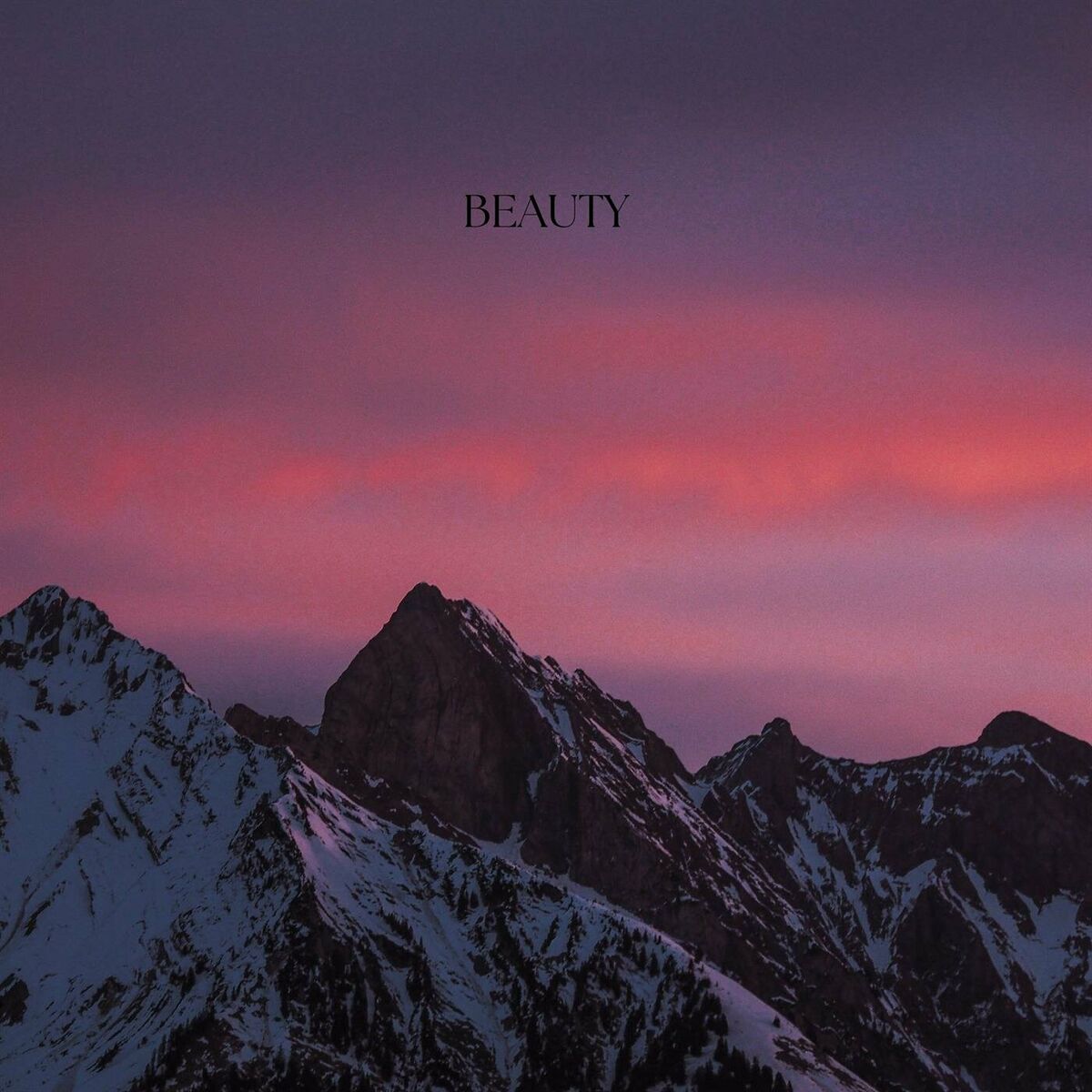 Album cover of Beauty