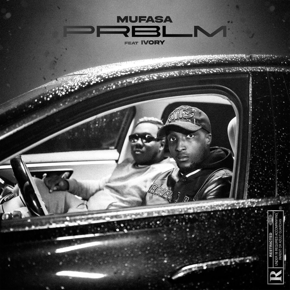 Album cover of PRBLM