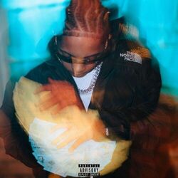 Cover of Contabilizando
