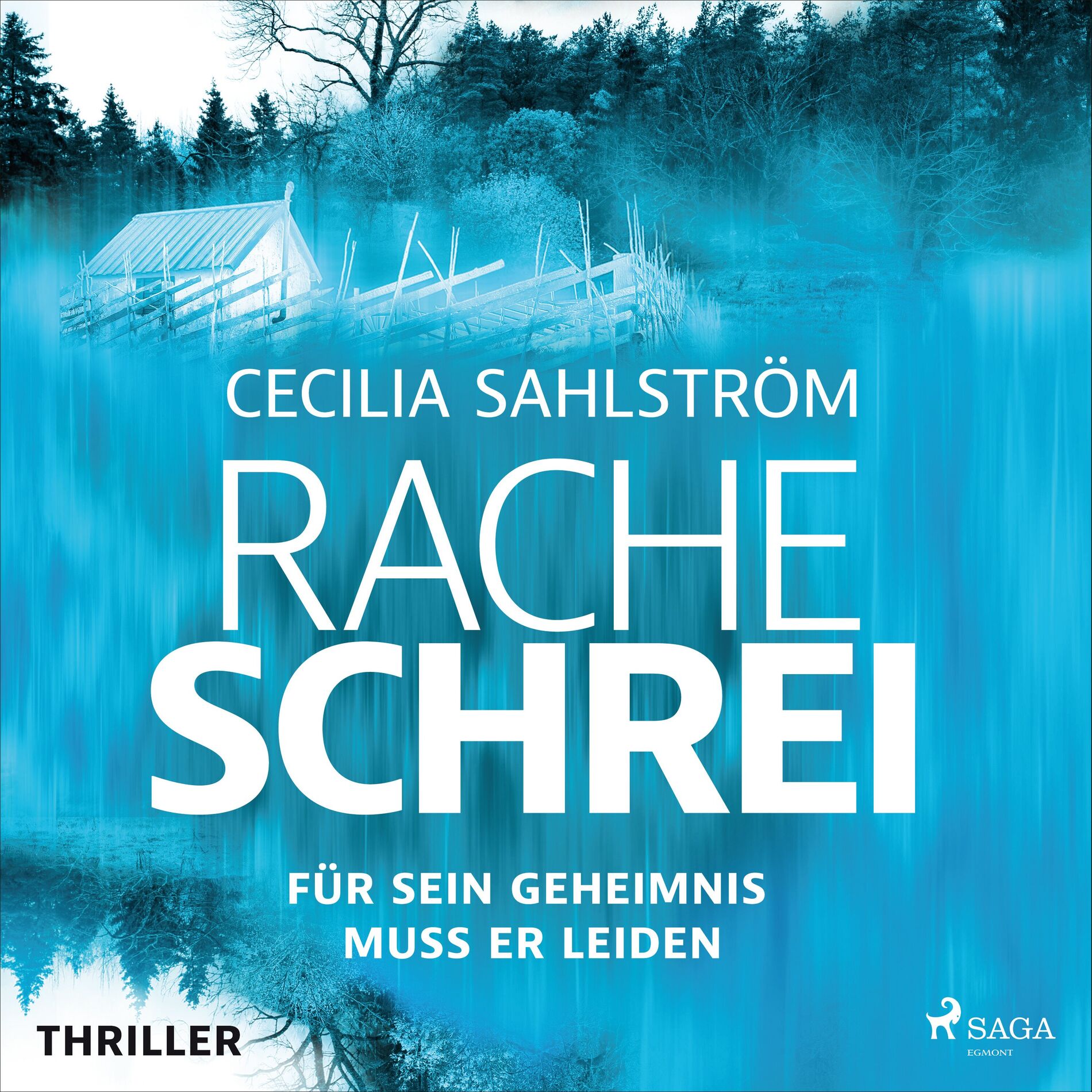 Album cover of Kapitel 01 - Racheschrei