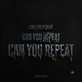 Can You Repeat