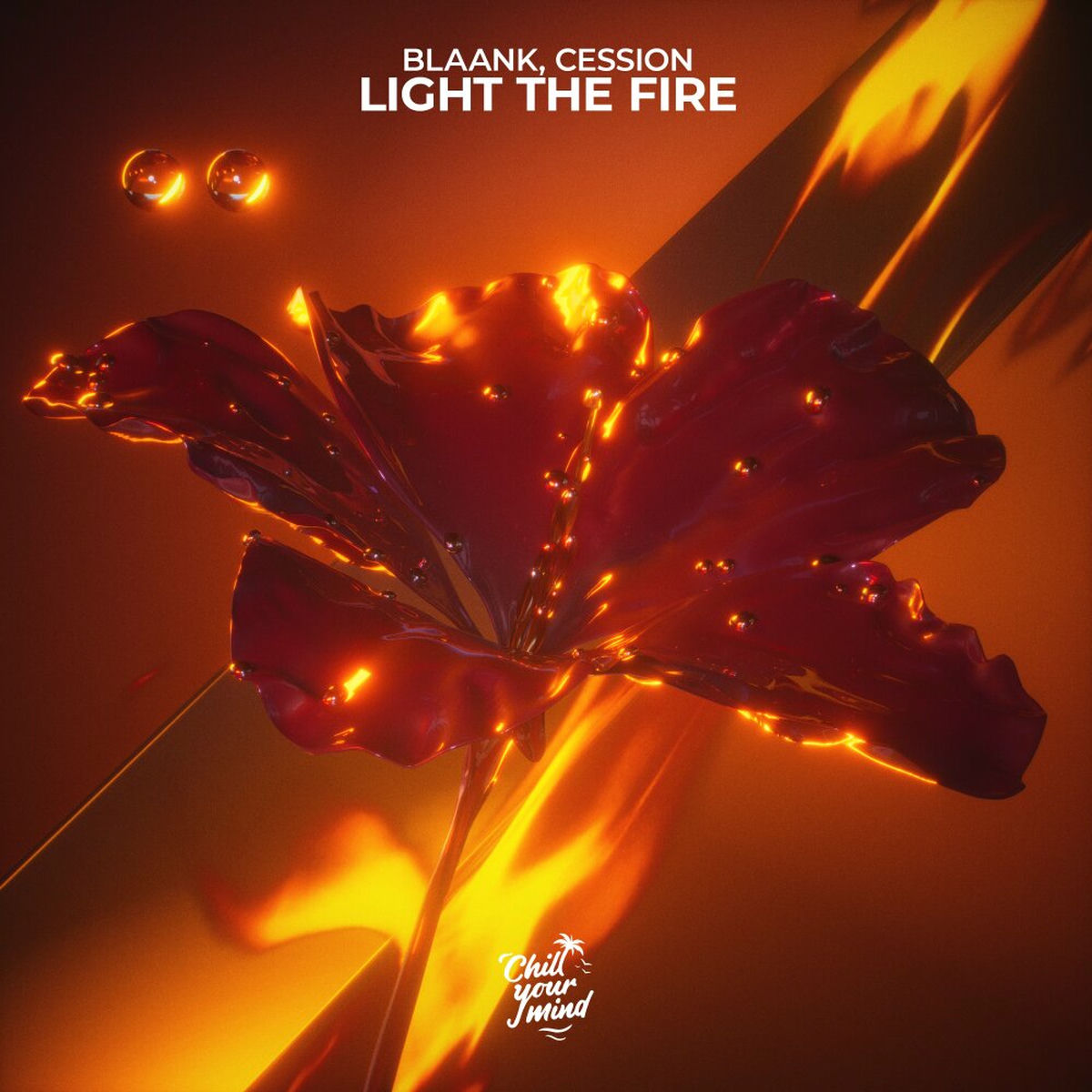 Album cover of Light The Fire