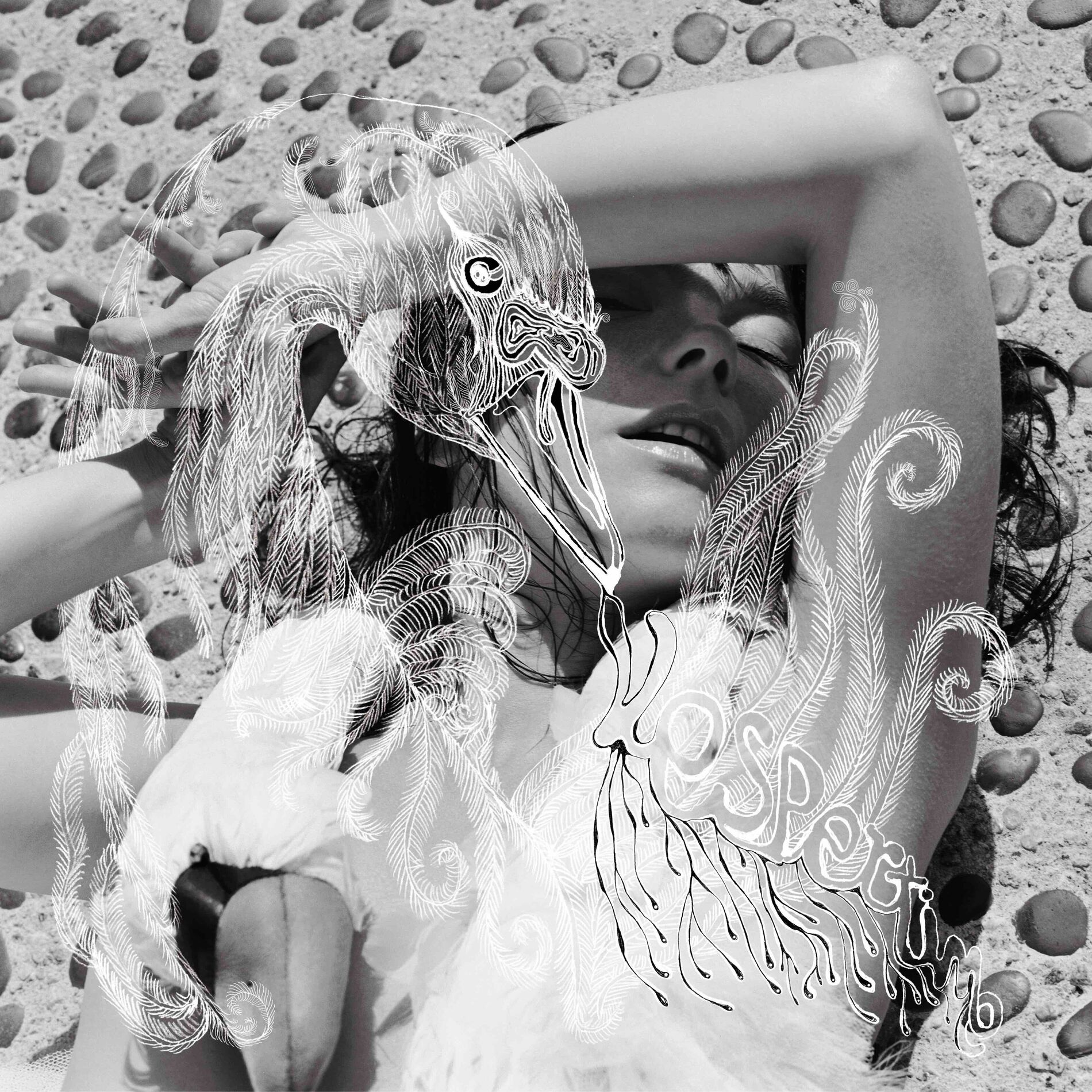 Album cover of Vespertine