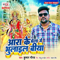 Cover of Ara Ke Mela Me Bhulail Biya