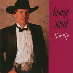 Cover of Livin' It Up