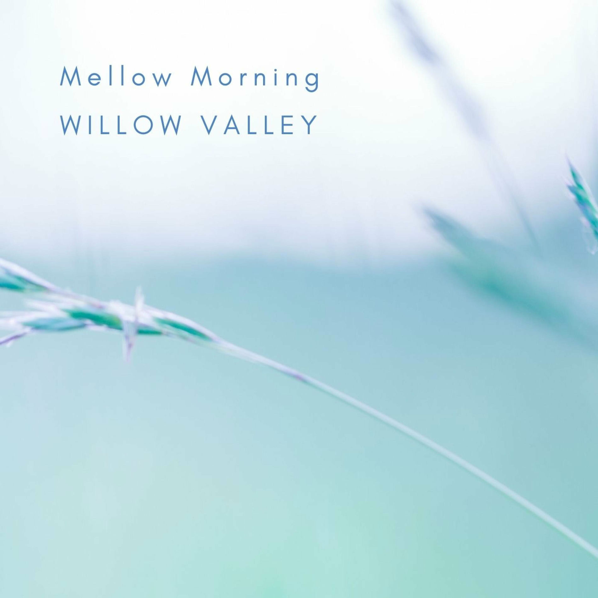 Album cover of Mellow Morning Arr. For Violin