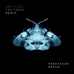 Cover of Got It All (Tru Fonix Remix)