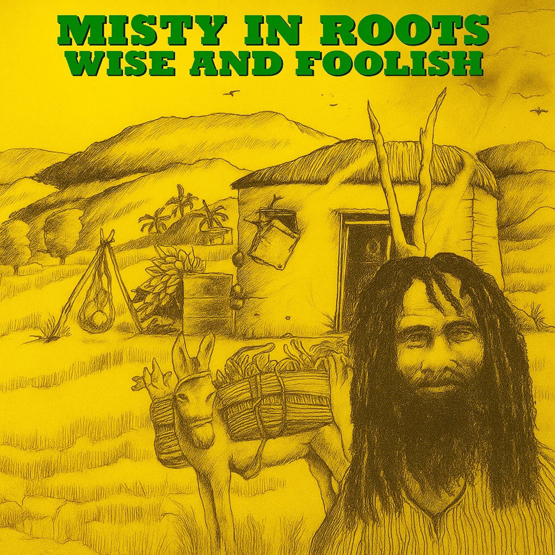 Album cover of Wise and foolish