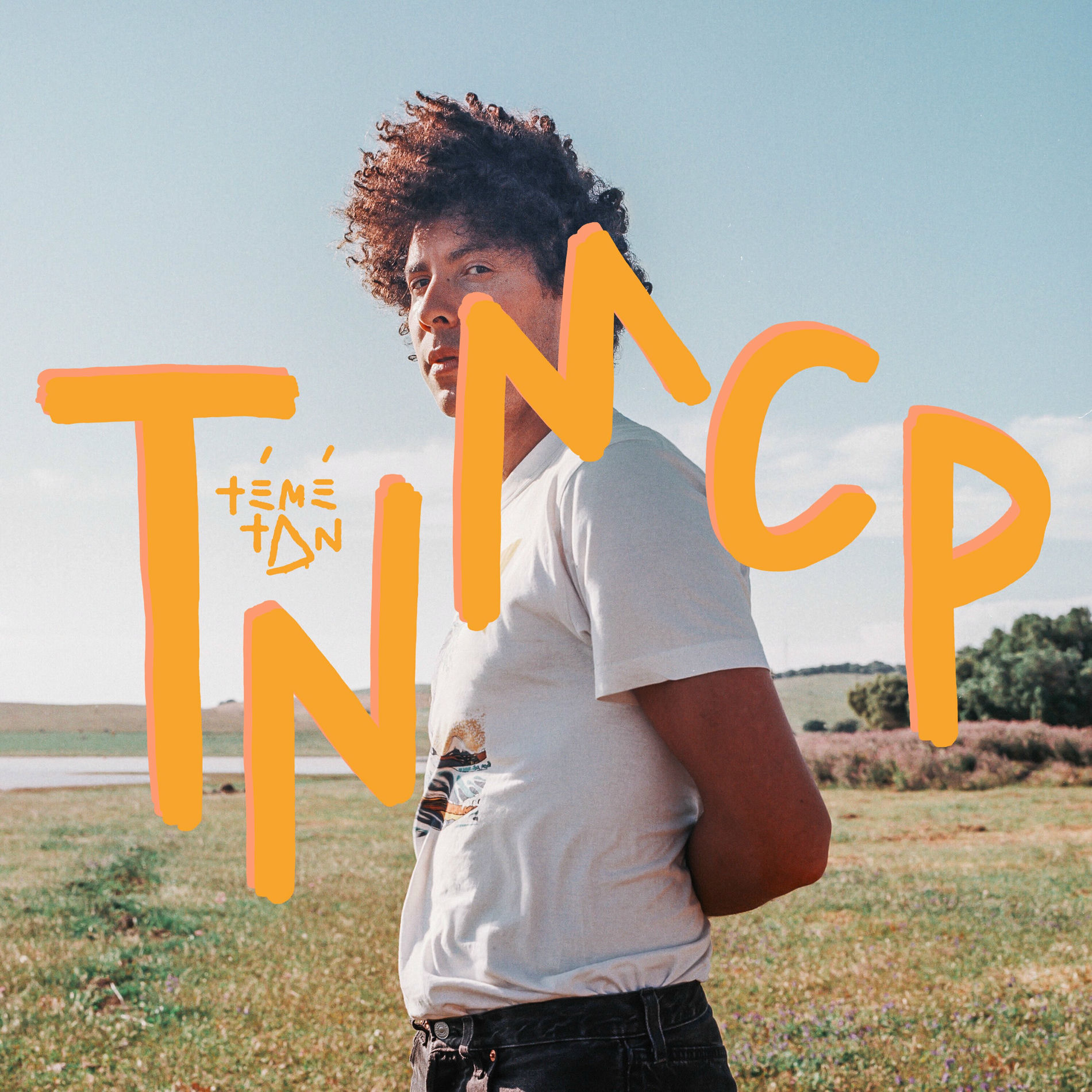 Album cover of TNMCP