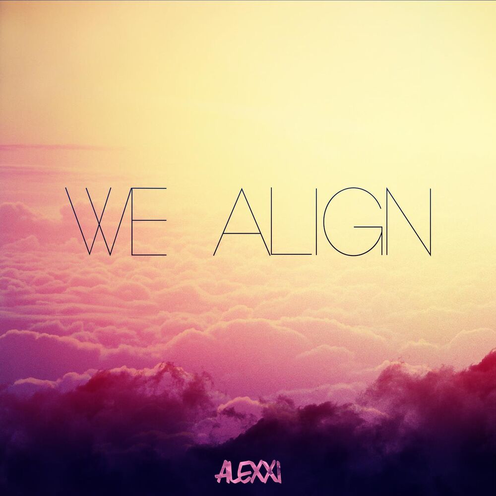 Picture of We Align