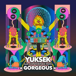 Cover of Gorgeous