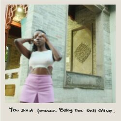 Cover of Still Alive