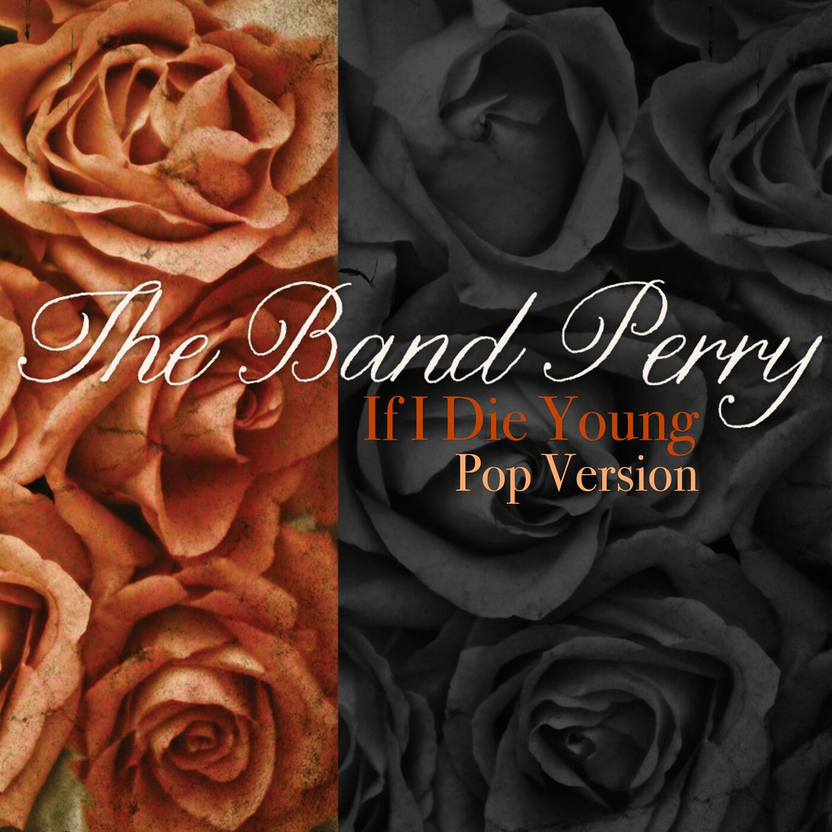 Album cover of If I Die Young