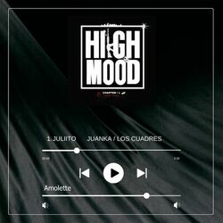 Cover of Los Cuadres