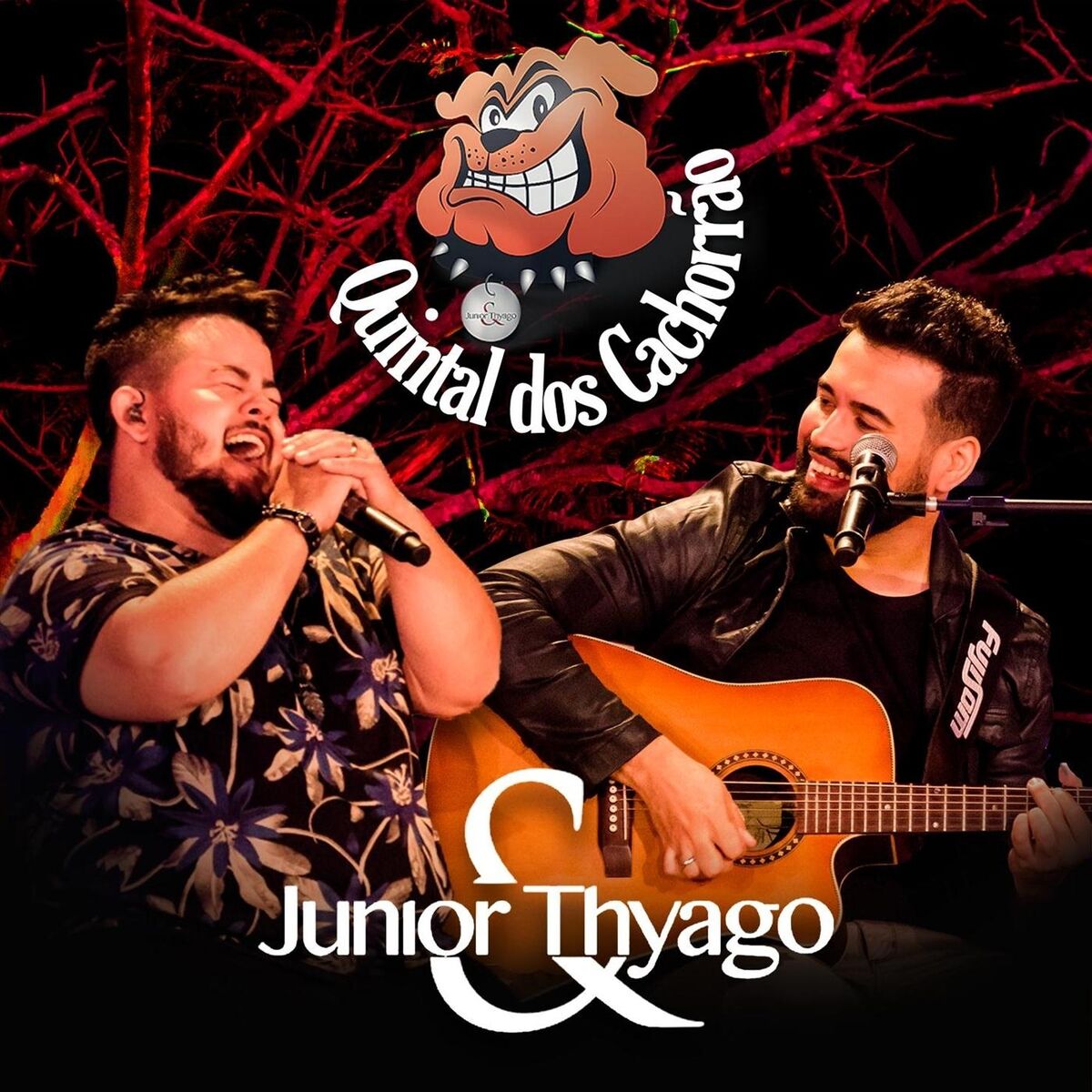 Album cover of Quintal dos Cachorrão