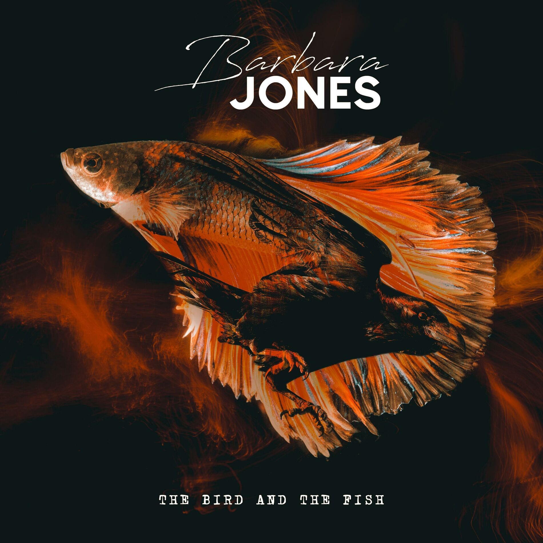 Album cover of The Bird And The Fish