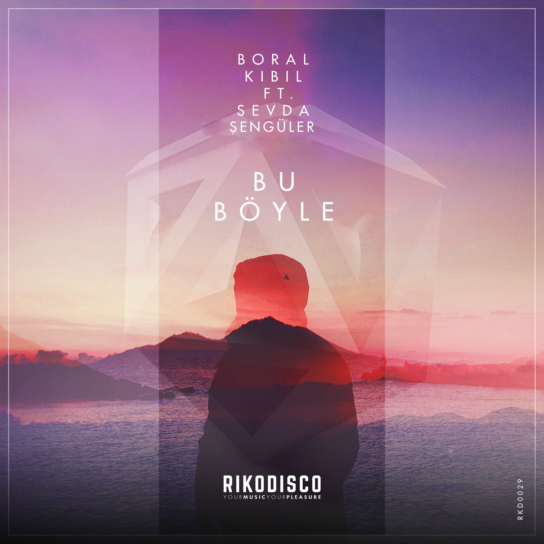 Album cover of Bu Boyle