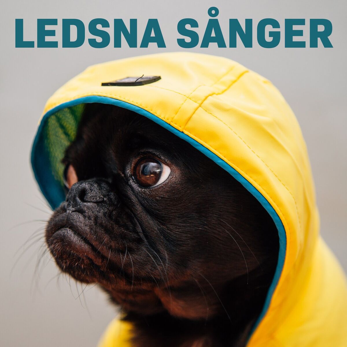 Album cover of Ledsna Sånger