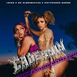 Cover of Cadernin (Versão Piseiro)