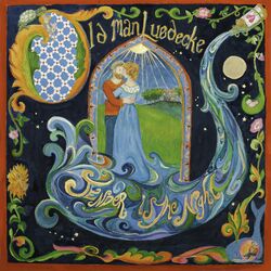 Cover of Tender Is The Night